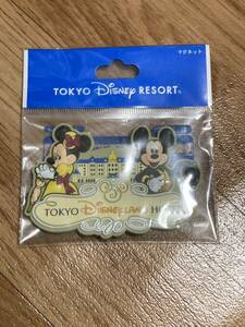 東京ディズニーリゾート ディズニー TDR ディズニーランドホテルマグネット