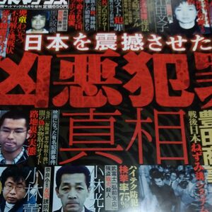 別冊劇画マッドマックス　2008年4号　凶悪犯罪の真相