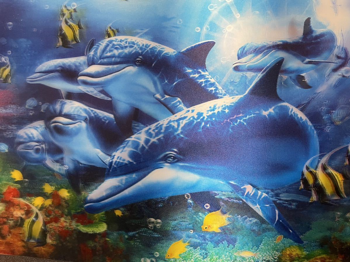 Effet de changement lenticulaire Dolphin Sea 3D Art, ouvrages d'art, peinture, graphique