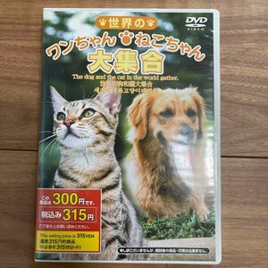 世界のワンちゃんねこちゃん大集合　DVD