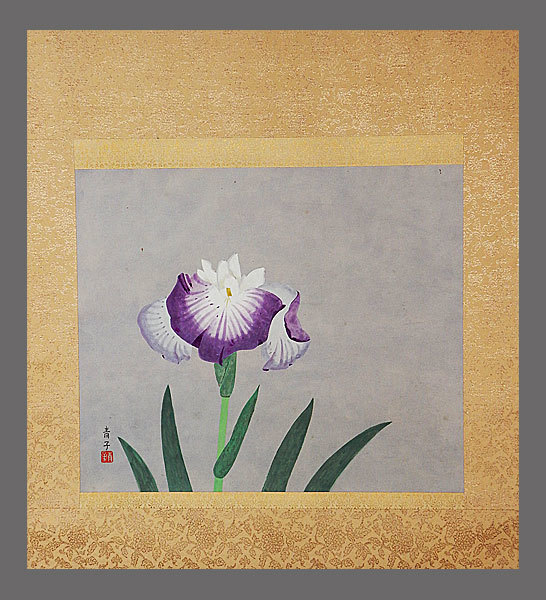 [Authentische Arbeit] ■ Aoko Mitani ■ Blumen-Iris-Zeichnung ■ Doppelbox ■ Gleiche Box ■ Dicke Schriftrolle ■ Handgezeichnet ■ Hängerolle ■ Hängerolle ■ Japanische Malerei ■, Malerei, Japanische Malerei, Blumen und Vögel, Vögel und Tiere