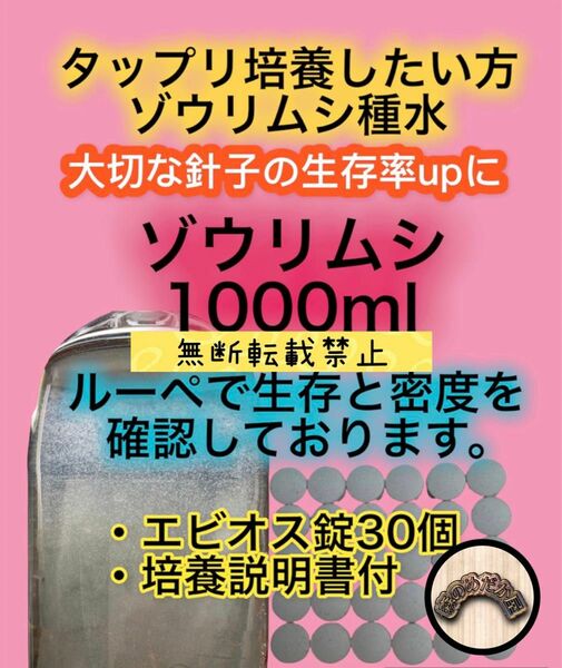 ゾウリムシ 種水 エビオス錠 めだか 卵 針子に PSB 生クロレラ バクテリア