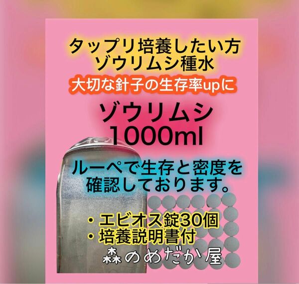 ゾウリムシ 種水 エビオス錠 めだか 卵 針子に PSB 生クロレラ バクテリア