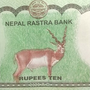 5369 ネパール10ルピー紙幣の画像5