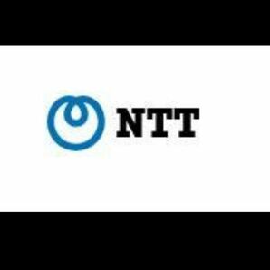 NTTの固定電話加入権アナログ一般回線１回線分