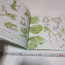 月刊　かがくのとも　あまがえる（初版本）複音館書店　当時品　保管品_画像7