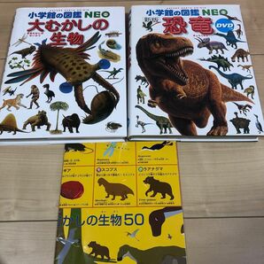 恐竜 （小学館の図鑑ＮＥＯ　１１） （新版） 冨田幸光／監修・執筆