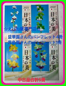 ☆えびね蘭専門店の盛華園さんのパンフレット2020年〜2023年の最新版霧島園さんの2020年のパンフレット1冊合計5冊えびね蘭に興味が有るに☆