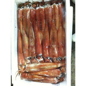  Pacific flying squid 1kg Hokkaido * Aomori production dried squid ....