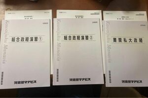 河合塾　マナビス　政治経済　３冊　総合政経演習①② 難関私大政経