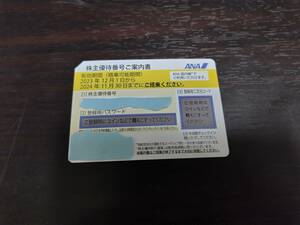 ANA　全日空　株主優待券　有効期限2024年11月30日 ID通知無料　3個まで