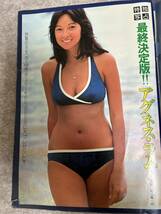 週刊プレイボーイ　1976年　昭和51年6月8日 アグネスラム風吹ジュン水沢アキ片平なぎさ原田美枝子長谷直美山口百恵　かなり状態悪　_画像3