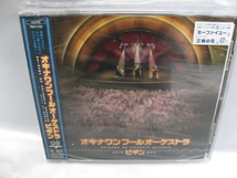 BEGIN オキナワン フール オーケストラ　ビギン　CD　新品_画像1