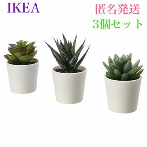 【新品】IKEA イケア フェイカ 人工観葉植物 鉢カバー付き 6cm 3ピース フェイクグリーン 複数購入可能です♪