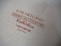 MB/A31CJ-DA3 YAMAKA HEARTLAND AMERICAN COUNTRY Collection ハートランド プレート 2枚 直径27.5cm 大皿 洋食器_画像6