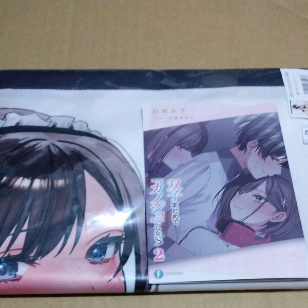双子まとめて『カノジョ』にしない? 2 (富士見ファンタジア文庫 メロン特典B2タペストリーリーフレットセット 未使用品