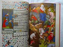 ロアンの時祷書 中世 装飾写本 豪華洋書 The Rohan Book of Hours ロアン・マスター 細密画 ミニアチュール/彩色写本 芸術本_画像4