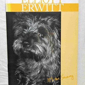 エリオット・アーウィット Elliott Erwitt It's Me, Sammy マグナムフォト 犬の写真の画像1