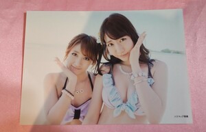 AKB48 柏木由紀、高橋みなみ、写真、ラブラドールレトリバー　水着