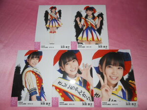 AKB48矢吹奈子、写真５枚、コンプ、netshop限定 2015 10