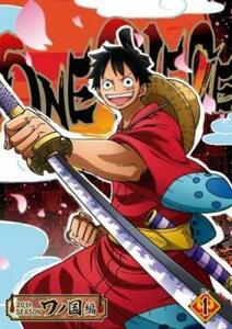 ONE PIECE ワンピース 20thシーズン ワノ国編 R-1 レンタル落ち 中古 DVD ケース無