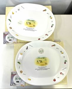 未使用品 岩城硝子 コレール Corelle プレート 2枚セット 31.5×25.4 プラター 大皿 ガラス食器 