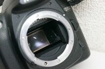 Nikon ニコン D50 ＆ シグマ 18-200mm f/3.5-6.3 DC 一眼レフデジタルカメラ A124_画像10