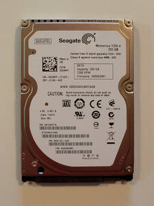 Seagate Momentus 7200.4 250GB