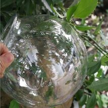 金魚鉢卓上透明プラスチック水槽丸亀水槽アクリル水槽緑植木鉢4リットル白_画像3