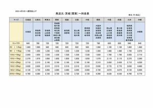 ★美品★ Kintone クラシック 国内メーカー バランススクーター セグウェイ　キントーン　