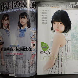 月刊エンタメ 2017年9月号 欅坂46 志田愛佳 付録 欅坂46 クリアファイル2枚付きの画像3