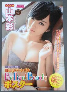 NMB48 山本彩　BIG＆リバーシブル Brilliant Beauty ポスター A1サイズ、切り抜き6P ヤングアニマル2014年 No.6