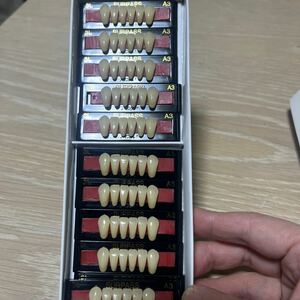 GCサーパス硬質レジン歯　L形態　人工歯　セット売り　29枚