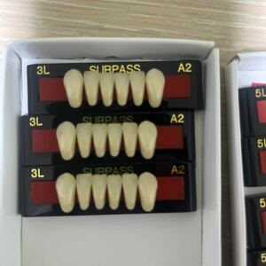 GCサーパス硬質レジン歯　A2 L形態 人工歯　16枚セット売り