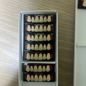 GCサーパス 硬質レジン歯 人工歯 歯科技工 A2 C形態　　29枚セット売り