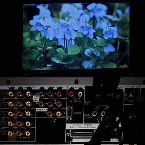 作動 最新世代 MUSE デコーダー Pioneer パイオニア PDP-502R ハイビジョン LD Hi-Vision HiVision LaserDisc / MUSE Decoder Operationalの画像7