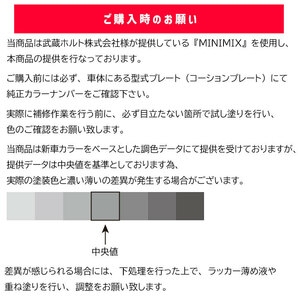 タッチアップペン ポルシェ C9Z バサルトブラックM Holts MINIMIXの画像5