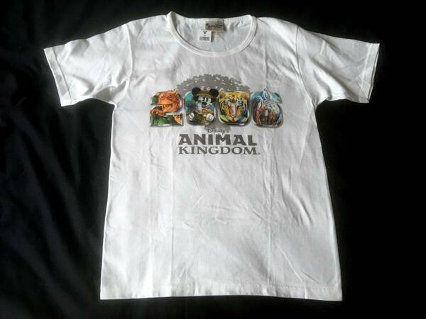 ディズニー ミッキー USA Animal kingdam TシャツS　未使用