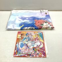 MIN【中古美品】 MSMA 映画プリキュア オールスターズF 特装版 Blu-ray 輸送箱開封 ブランケット他付き 〈9-240205-MK-17-MIN〉_画像8