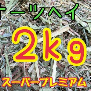 オーツヘイ　スーパープレミアム　新入荷　２Kg