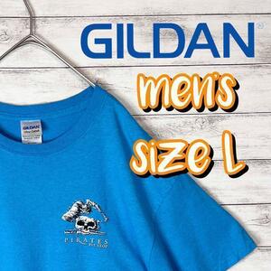 【US古着　送料無料】ギルダン　デザインTシャツ サイズL ブルー