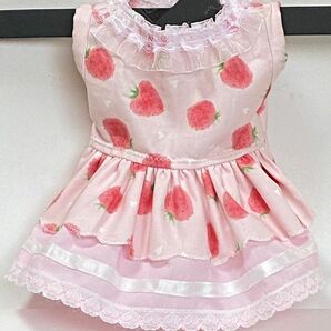 ハンドメイドペット服　犬服背丈：18c m胴回り：28cm (28)夏用