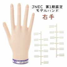 JNEC認定 滝川 STモデルハンド 右手 ネイルチップ付き 第1期JNEC認定モデルハンド 01-22-01 ネイリスト技能検定試験 タキガワネイル_画像2