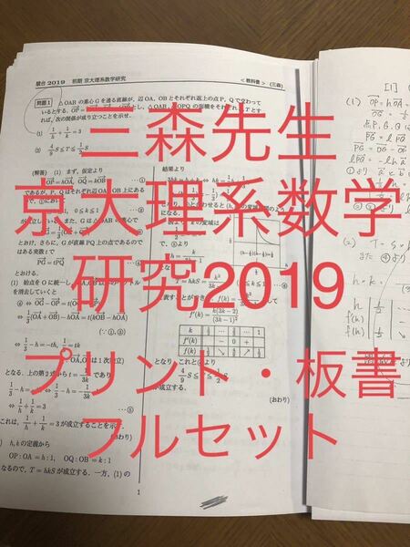 駿台 数学 三森先生 京大理系数学研究 2019 通年 板書 プリント