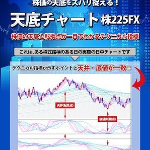 天底チャート 株225FX〈PDFマニュアル,特典付き〉の画像1