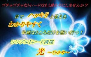 〈ぷーさん式 トレード講座〉光~ひかり~優位性を目でハッキリと見えるようになるためのトレード講座 光～ひかり～