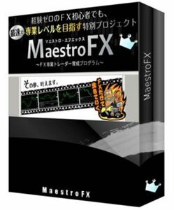 マエストロFX 〈全26講,補講,概要動画,チャート分析講座画像32枚〉の大ボリューム