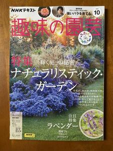 雑誌　「NHKテキスト　趣味の園芸」　2023年10月 ナチュラリスティックガーデン　ラベンダー　バラ　ミニ盆栽　ケイトウ　リンゴ