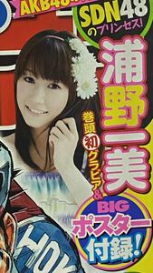 週刊少年チャンピオン2010年No.43 SDN48のプリンセス 巻頭グラビア 浦野一美 付録 BIGポスター 破壊症候群 阿部共実 予告 真奈 新実菜々子