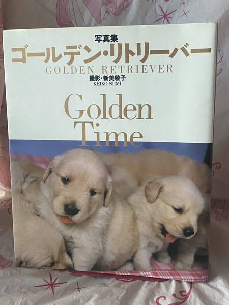 ☆写真集 ゴールデン・リトリーバー GOLDEN RETRIEVER 撮影・新美敬子 KEIKO NIIMI Golden Time 誠文堂新光社 犬 イヌ dog